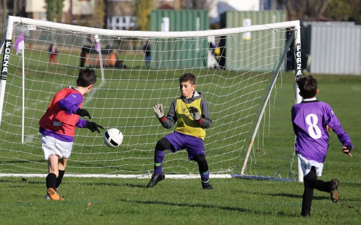 WHFC Youth Development Teams 